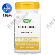 (READYSTOCK )🔥 Spot U.S. Nature's Way Choline CHOLINE Brain Health 500Mg 100 Tablets YY