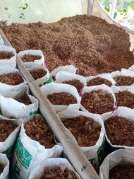 กาบมะพร้าวสับเล็ก💥 งานกระสอบใหญ่ 💥1กระสอบ💥หนักกระสอบละ 4-8กิโล กาบมะพร้าวสับรายใหญ่ที่สุดในภาคใต้ตรังค่ะ จ่าสู
