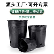 Nutrition Bowl Nutrition Cup Nursery Bag Nutrition Bag pp Hendrie Plastic Black Disposable Transpare