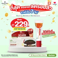 [อ่านก่อนกดสั่ง Clearance Exp02/08/26 มีกล่อง] Puricas Dragon's Blood Scar Gel 8g เจลลดเลือนรอยแดงสิ