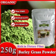High quality 100% Organic Barley Grass Powder pure natural Barley Grass Juice Powder Barley grass powder