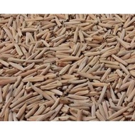 Adenium Seed bunga kemboja benih|Desert Rose Seed| Adenium Obesum Seeds | 沙漠玫瑰富贵花种子