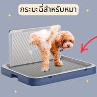 2-Layer Dog Pee Tray Pole For Children To Aim Toilet