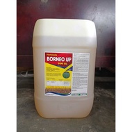 RACUN RUMPUT BORNEO UP 500SL 20L