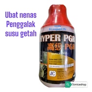 hyper pgr 500ml/penggalak susu getah /penggalak pembungaan nenas/ubat nenas/ubat pokok susu getah