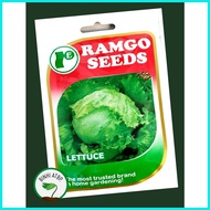 ◆ ۩ ♞Ramgo Lettuce Iceberg Seeds