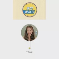 TWICE 2020首爾場演唱會 官方週邊商品 - 成員應援扇 09. Tzuyu 子瑜 (韓國進口版)