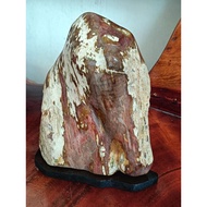 Suiseki Viewing Fossilized Natural Stone, 8"/2.5kg