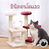 Mini Condo--For Kittens Cat Condo Compact Size FUC3