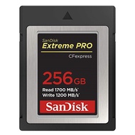 SanDisk 256GB Extreme Pro CFexpress (Type B)