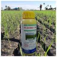 500ml PYZERO 10EC ACM RACUN RUMPAI RUMPUT PADI BURUNG EKOR TEBU Racun Sambau Bunga Kasar/Halus/colok