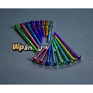 Titanium bolts BIG head, m8x45 - m8x130 12 thread/, 4.5cm to 13cm long