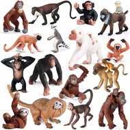 Children Simulation Monkey Toy Animal Model Orangutan Long-Armed Ape Monkey Baboon Spider Monkey Lon