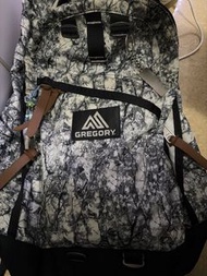 Gregory 迷彩背包