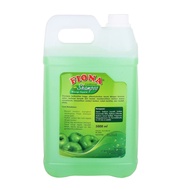 Fiona Balsam / Conditioner 5 Liter