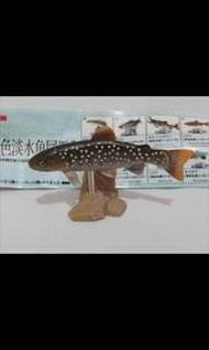 Yujin 原色淡水魚圖鑑 I No.02 Salzelinus leucomaenis