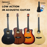 Lumanog Acoustic-Electric with Pickup Guitar Junior/Travel Size 38 inches (Cutaway)