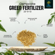 Osmocote Green Fertilizer 23-9-13 | Controlled Release + Trace Elements TE