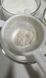 Milk kefir grains natural probiotics 奶克菲爾菌種益生菌奶克BB