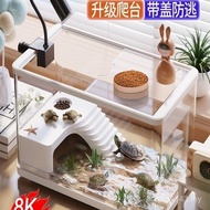 T Tank Climbing Turtles Tortoises Terrarition Breeding Ecosystem Dedicated Back Water Amphibious Vie