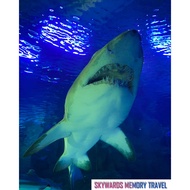 Aquaria KLCC Ticket - MyKad Tickets