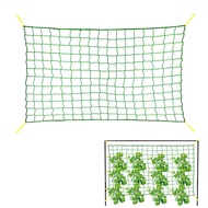 Trellis Net Climbing Plants Supporting Net for Beans Tomatoes Peas Pumpkin For Agriculture And Garde