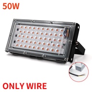 LED Grow Light 50W 100W 220V outdoor Led Floodlight Full Spectrum Phyto Lamp LED plant grow light Gr