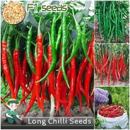 [100% Original] Long Chilli Seeds for Sale Organic Vegetables Seeds for Planting (50 Seed) Vegetable
