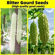 Bitter Gourd Seeds - Ampalaya F1 Hybrid Long Green Variety & White Bitter Gourd Early Mature Seeds f