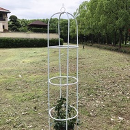 H-Y/ Iron Rose China Rose Column Rack Clematis Lattice Climbing Vine Plant Rack Flower Pot Support Rod Bird Cage Outdoor