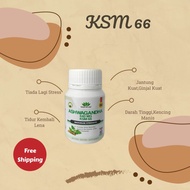 🔥 ASHWAGANDHA KSM-66 ORIGINAL RafaHerbs HQ Murah Aswagandha Ashwaganda Ashvagandha KSM66