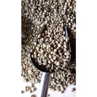KOPI ROBUSTA PILIHAN / ROBUSTA BLITAR / BIJI KOPI MENTAH ROBUSTA / ROBUSTA CAMPUR
