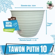 Pot Tawon Putih Ukuran 10 Pot Tanaman Hias Minimalis Budi Jaya Asli Pot Tawon Tanaman Bunga Putih Po