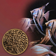 Colorful Angel Fish Dedicated Small Granules Floating Fish Food