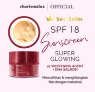 PAKET DAY & NIGHT 10G SUPER WHITENING PREMIUM charism