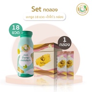 Milk Plus & More Set ทดลอง : น้ำมะกรูด 18 ขวด + โกโก้ 1 กล่อง