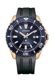 Citizen BN0196-01L 光動能潛水錶
