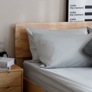 100%防水枕頭保潔墊/晨光綠/二入