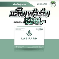 แล็บฟาร์ม (Lab Farm) 1 กล่อง บรรจุ 10 แคปซูล !!ส่งฟรี!!