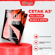 Print A3+ Color/ Print A3/Art Paper/Art Carton