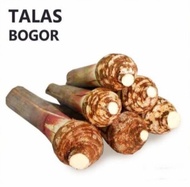 Buah talas bogor legit 1 buah besar empuk enak