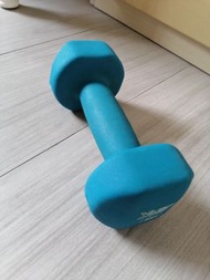 4kg dumbbell 啞鈴