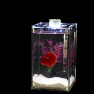 [Kesoto1] Acrylic Transparent Aquarium Sea Aquatic Rumble Small LED