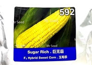 LECKAT 592  BENIH JAGUNG MANIS/GRED A-F1 HYBRID SUGAR RICH 500G BIJI SWEET CORN SEED(516)VEGETABLE 5