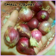⚘ ▬ SMALL ONIONS/ LASONA/LASUNA/MALILIIT NA SIBUYAS( Ship out Agad)