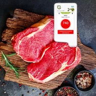 1T 2FT 3FT 4FT 6T Food Safety Detector Food Nitrate Tester Fruits and Vegetables Meat Radiation Nitr