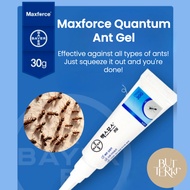 Bayer Maxforce Quantum 30g Ant gel - Ultimate Ant Killer Gel for Effective Ant Control