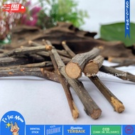 Apple Stick | Apple Stick | Full Size | Apple Orchard Stick | Hamster bite | Apple Chew Toys