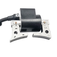 (QCMY) Ignition Coil Pack for EX13 EX17 EX21 Engines Motors Replaces Part 20A-79431-01 277-79431-01 