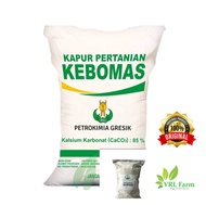 Dolomit Super Kapur Pertanian 1KG - Kalsium Karbonat (CaCO3) 85% - Petrokimia Gresik